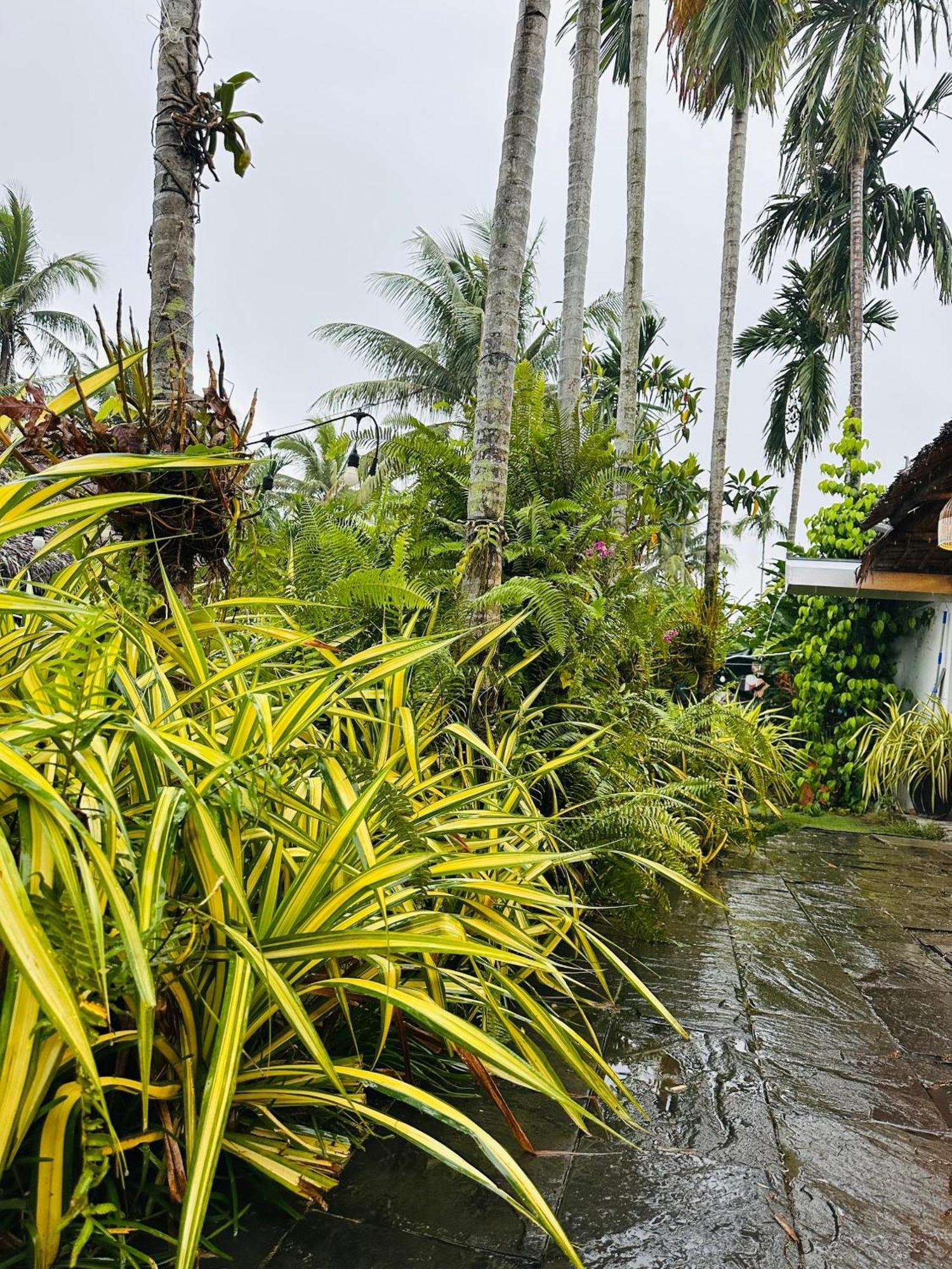 Hieu Nhon Water Palm Residence מראה חיצוני תמונה