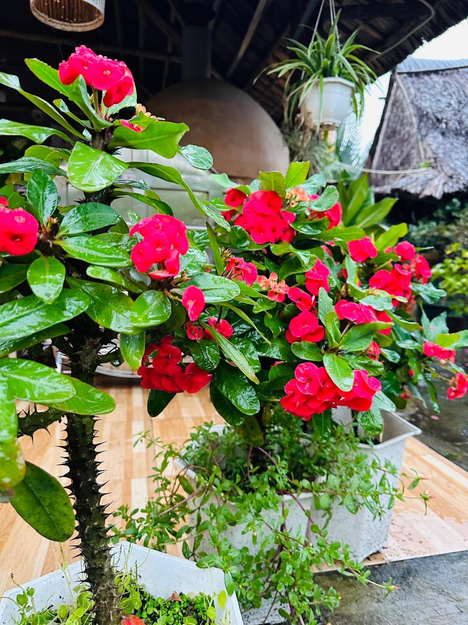 Hieu Nhon Water Palm Residence מראה חיצוני תמונה